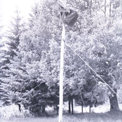 Unidentified man, 1974: Frame 34