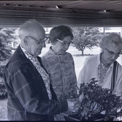 Flower Show, 1975: Frame 36