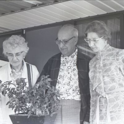 Flower Show, 1975: Frame 37