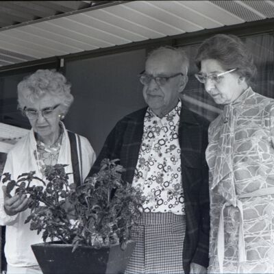 Flower Show, 1975: Frame 38