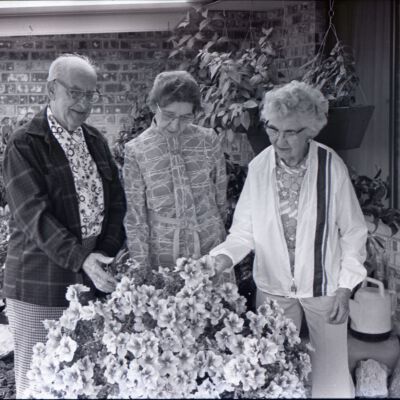 Flower Show, 1975: Frame 33