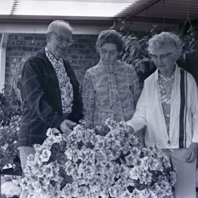 Flower Show, 1975: Frame 34