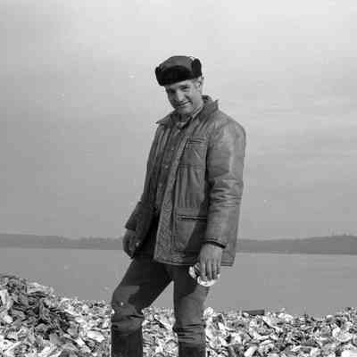 Bulldis Oyster Farm, 1973