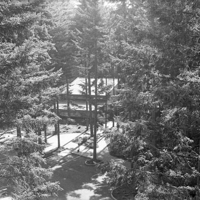 Business progress, Date unknown: Frame 12B