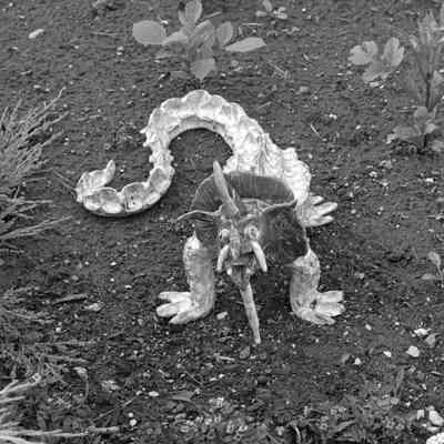 Lorenna Tindel's ceramic dragon, Date unknown: Frame 30