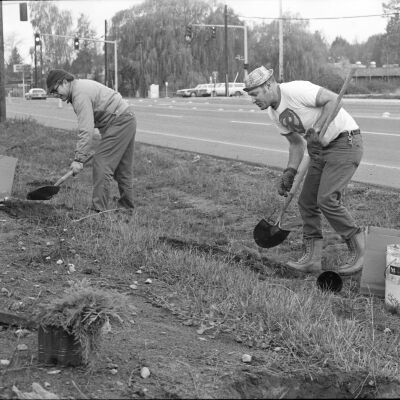 Lacey Rotary Beautification Project, 1974