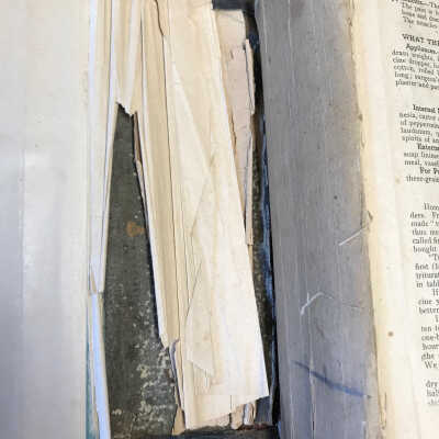 Spine damage inside front cover