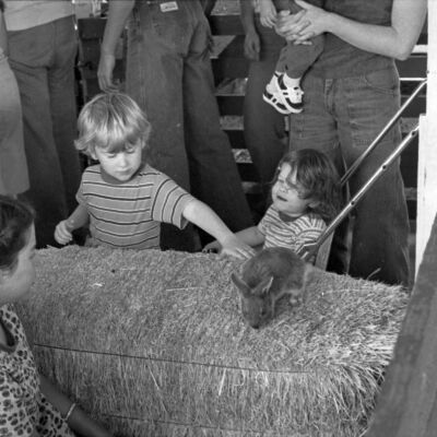 Thurston County Fair, August 2-5, 1979: Frame 9c