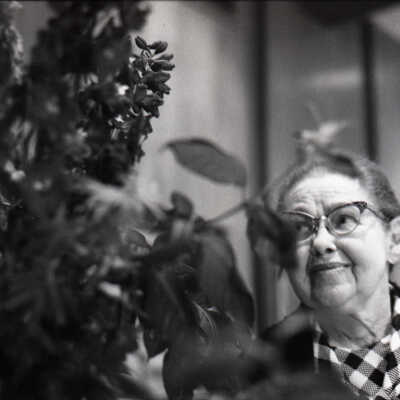 Panorama City Flower and Rock Show, 1973
