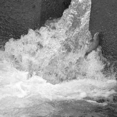 Tumwater Falls, Unknown Date