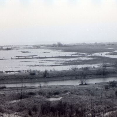 Nisqually River Delta, Date Unknown: Frame 44g