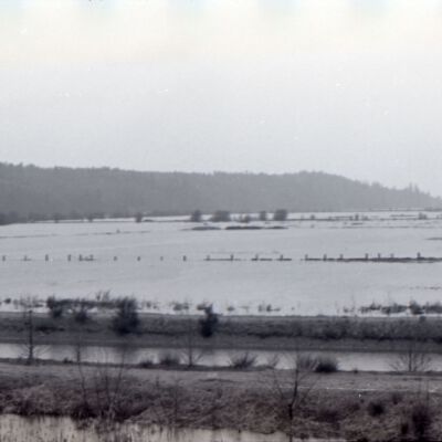 Nisqually River Delta, Date Unknown: Frame 1g