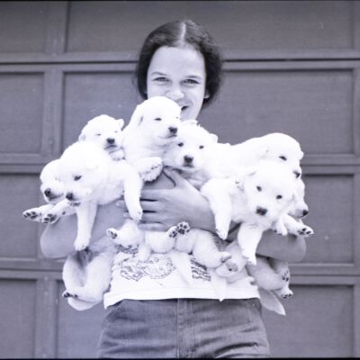 Unidentified person, 1975: Frame 13
