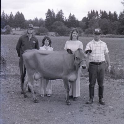 Evergreen Dairy, 1979