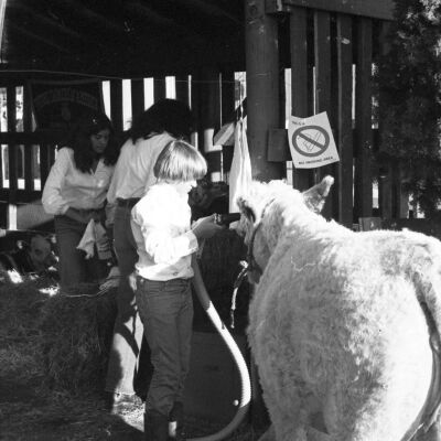 Thurston County Fair, August 2-5, 1979: Frame 13c