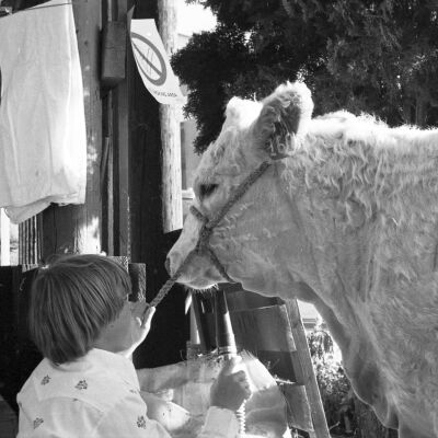 Thurston County Fair, August 2-5, 1979: Frame 14c