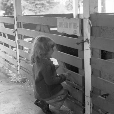 Thurston County Fair, August 2-5, 1979: Frame 15a