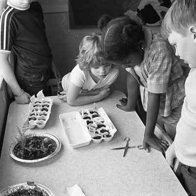 Unidentified children, 1979: Frame 37