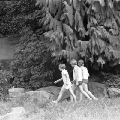 Tumwater Falls Park, Date unknown: Frame 31
