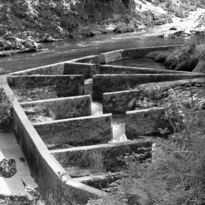 Tumwater Falls Park, Date unknown: Frame 32