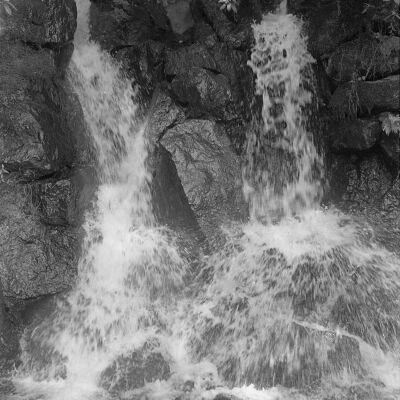 Tumwater Falls Park, Date unknown: Frame 16
