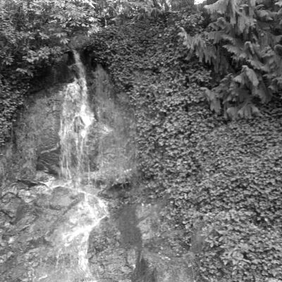 Tumwater Falls Park, Date unknown: Frame 20