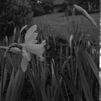2007-012_c421n_f4