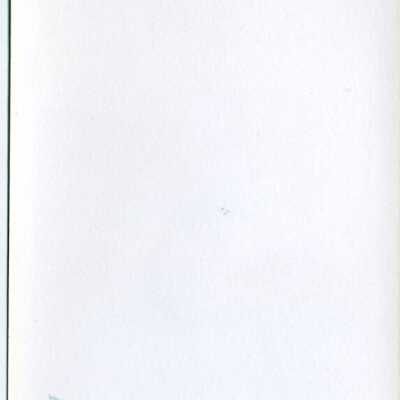 Origformat: Photographic
