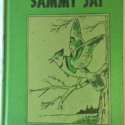 The Adventures of Sammy Jay