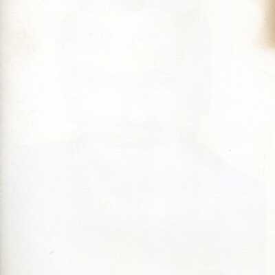 Origformat: Photographic