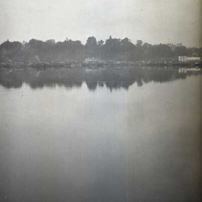 Budd Bay