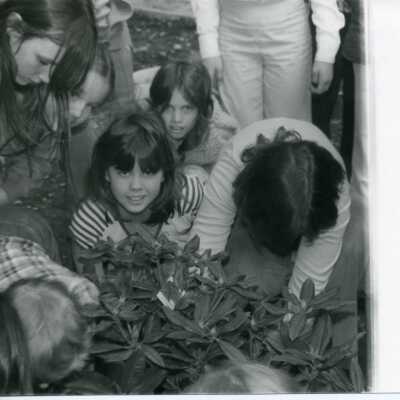 Arbor Day
