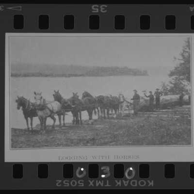 Logging With Horses
