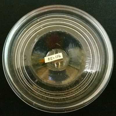 Lid, Preserving Jar