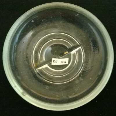 Lid, Preserving Jar