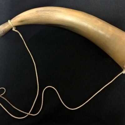 Horn