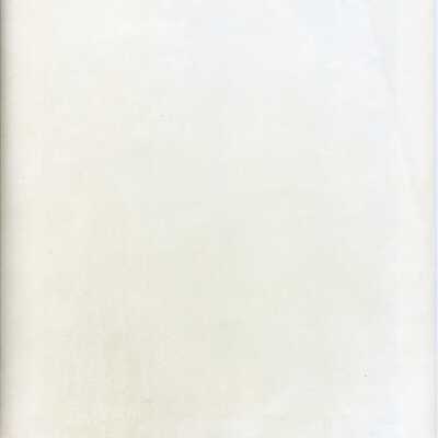 Origformat: Photographic