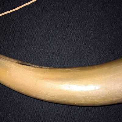 Copyright: Lacey Museum; Origformat: Artifact