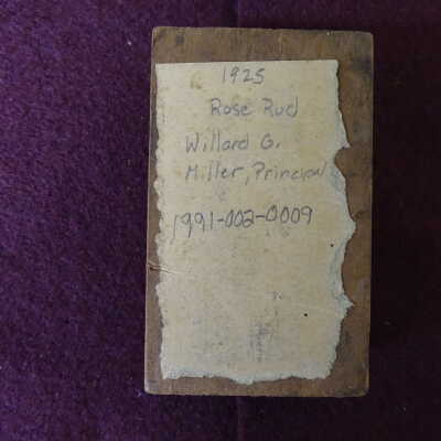 Plate, Printing