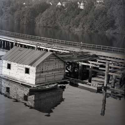 Budd inlet