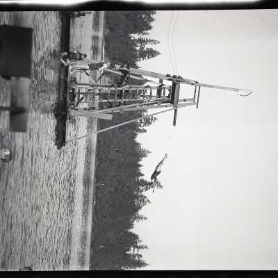 bathers
