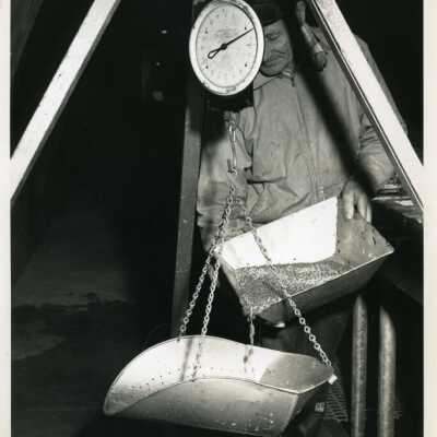 scales: Origformat: Photographic