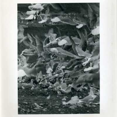 Landfill: Origformat: Photographic