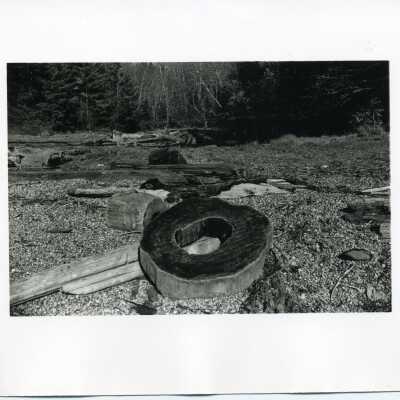 log