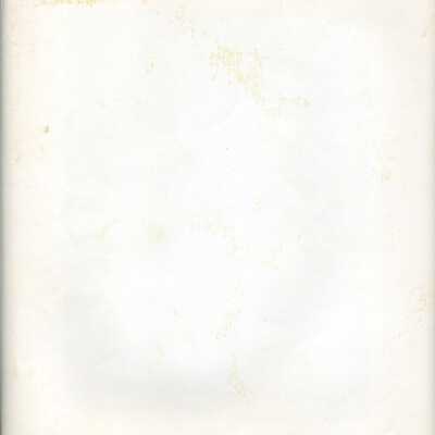 Origformat: Photographic