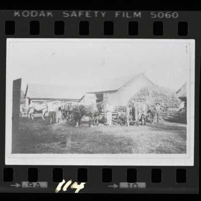Harvesting Hay on Fleetwood Farm: Origformat: Negative; Resolution: 3200 dpi