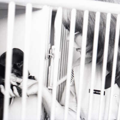 2007-012_a403n_f34
