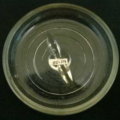 Lid, Preserving Jar