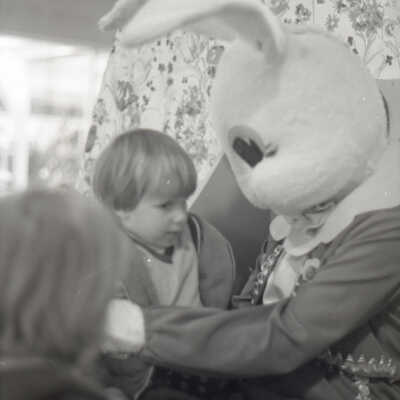 2007-012_d402n_f1