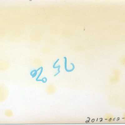 Origformat: Photographic